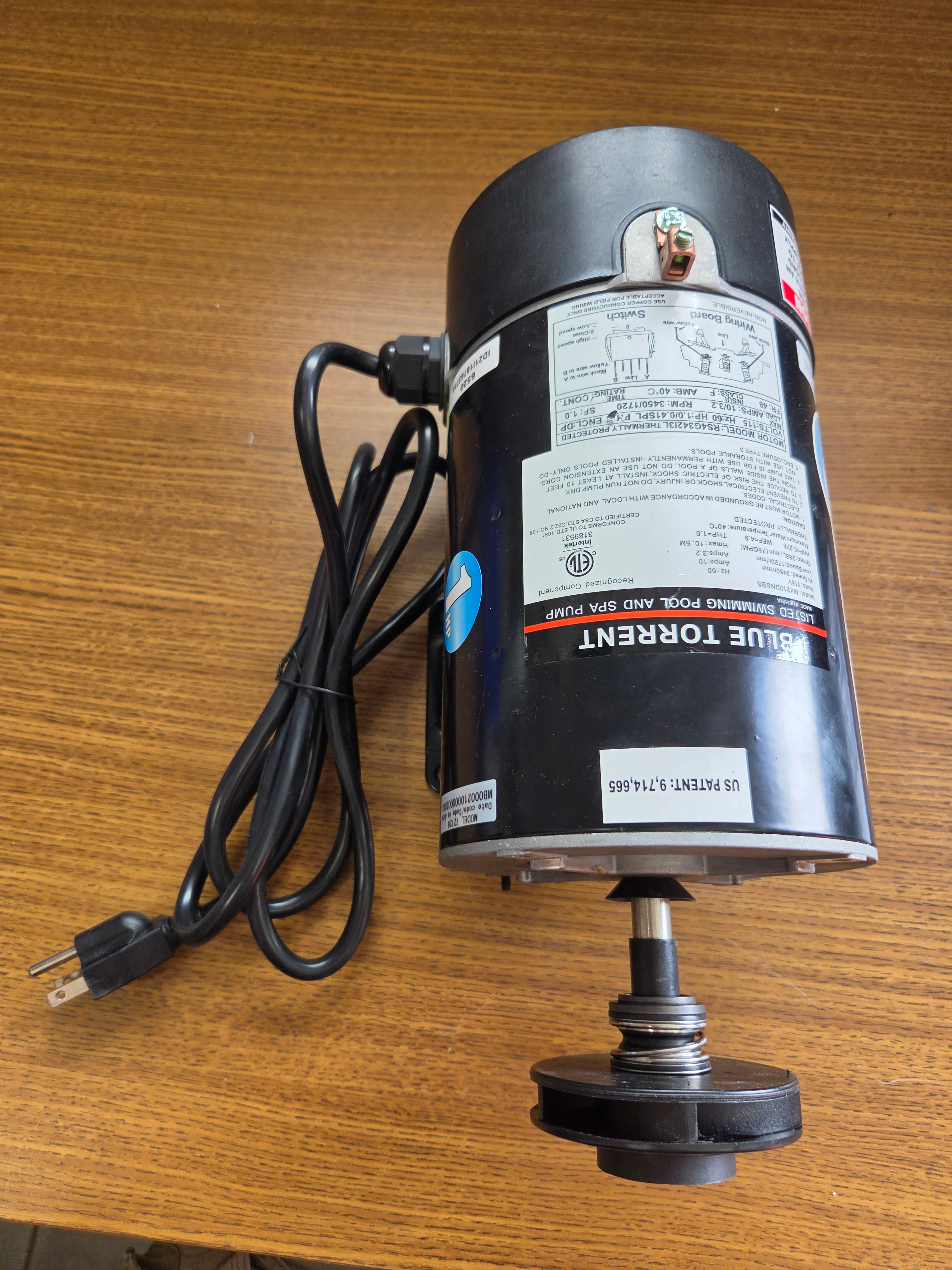 Replacement Blue Wave or Blue Torrent Pool Pump Motor - Image 2